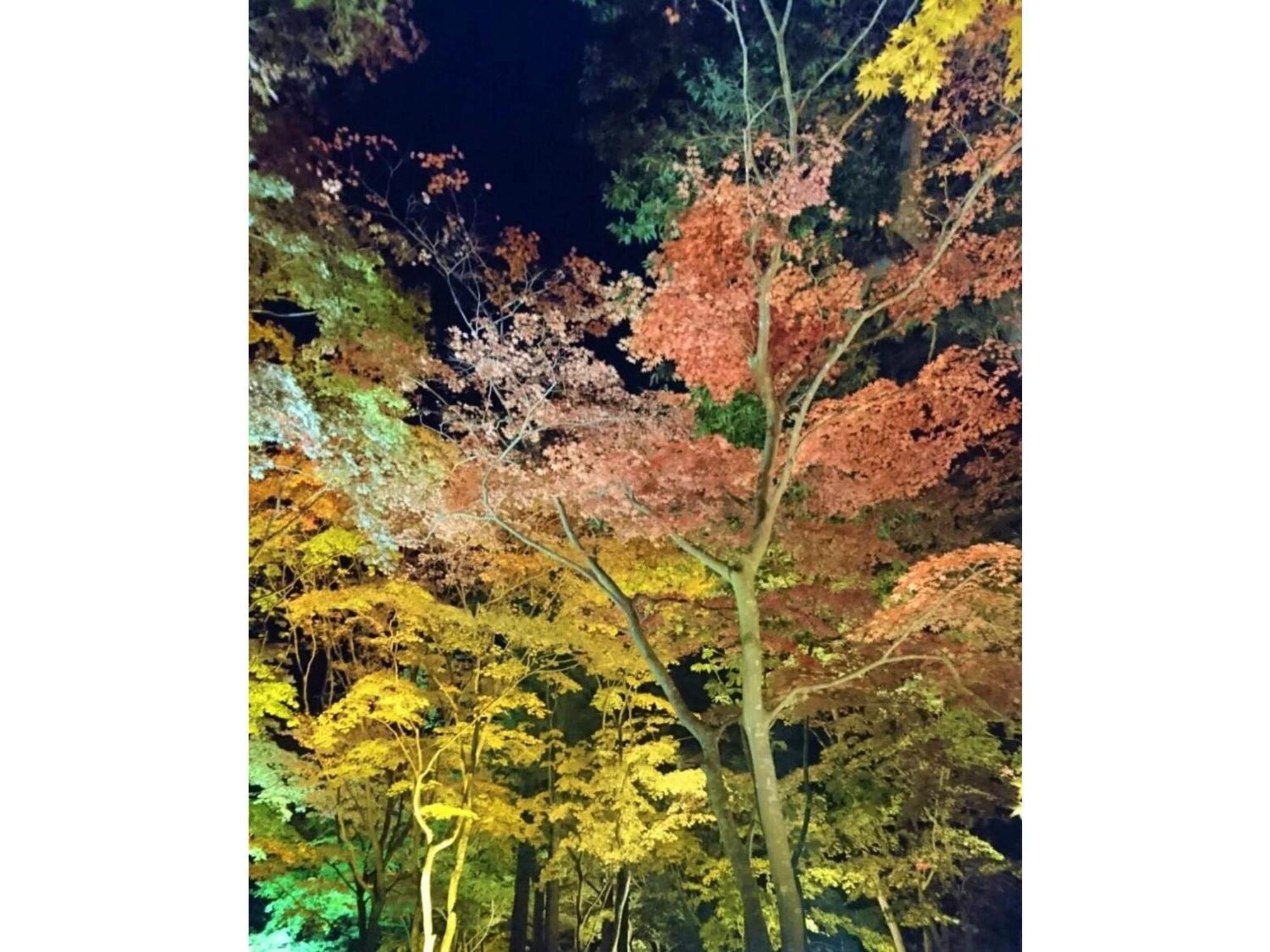 Hotel Tetora Yunokawaonsen - Vacation Stay 30623V Хакодате Екстериор снимка