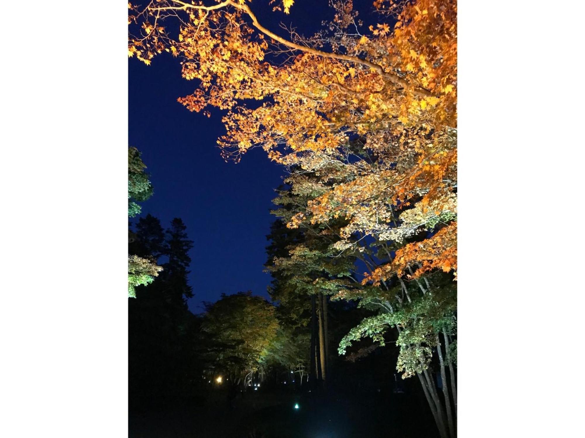 Hotel Tetora Yunokawaonsen - Vacation Stay 30623V Хакодате Екстериор снимка